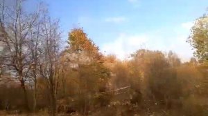 Автобус 115 "Пос. Металлострой  -  ст. м. "Рыбацкое"