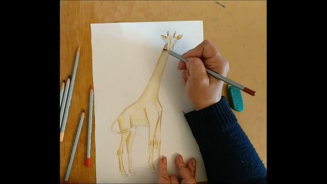 Рисунок жирафа акварельными карандашами смотреть онлайн