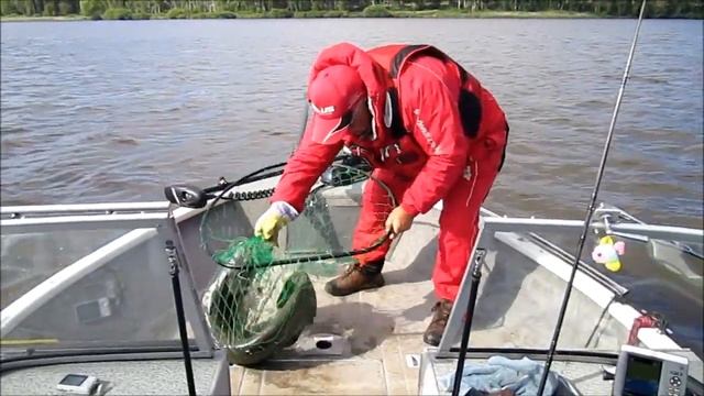 Рыбалка на сома в Подмосковье смотреть онлайн