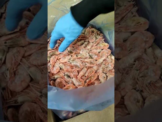 Креветки дикие смотреть онлайн