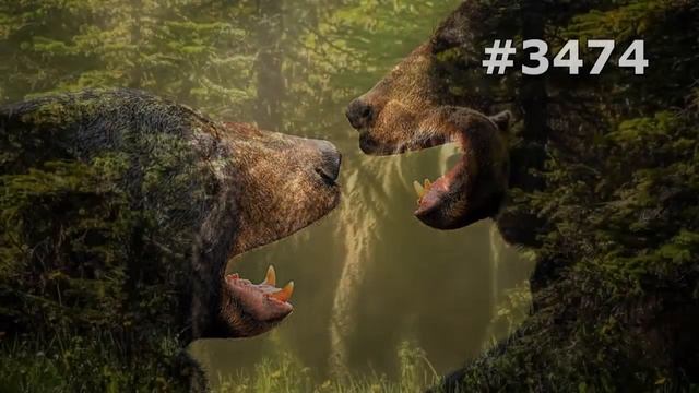 #3474. Медведи (В мире животных) смотреть онлайн