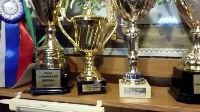 Скачки. Призы Генерала Шаймуратова. Конезаводчик Хасан Идиятуллин.