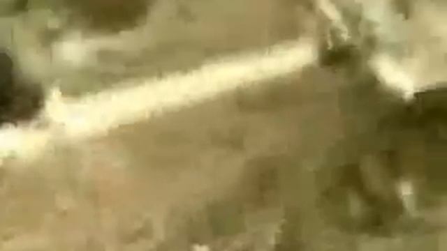 Эпичные похороны Петра! смотреть онлайн