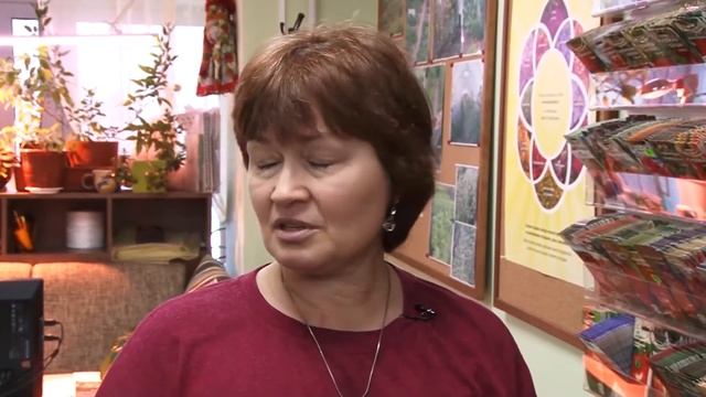 Как выбрать семена томатов в магазине