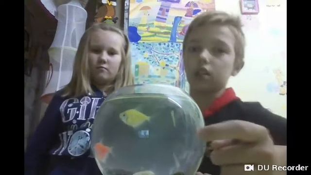 Рассматриваем Маргоритеных рыбок| Круто рыбки карамельки. смотреть онлайн