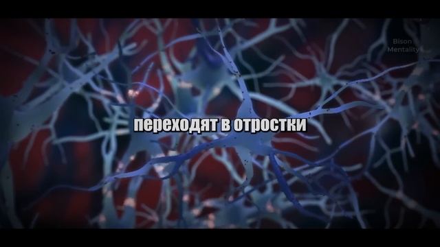 НЕЙРОУЧЕНЫЙ: Холодный Душ Повышает Тестостерон на 1000% смотреть онлайн