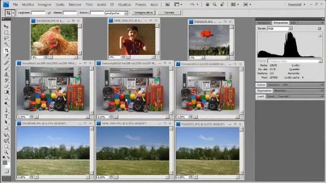 Sony Alpha NEX5, Samsung NX10, Panasonic Lumix G2 - Immagini (parte 1)