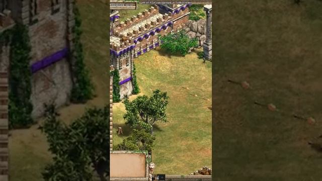 Марти Макфлай в Age of Empires 2 | #ageofempires2 #ageofempires2definitiveedition #martymcfly смотреть онлайн