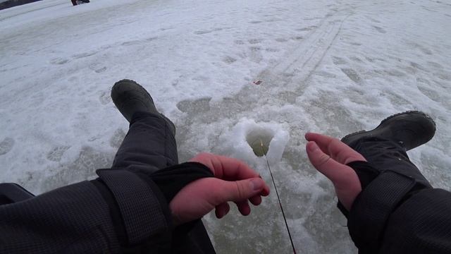 Ловля Плотвы!!!Рыбалка на Рыбинском Водохранилище!!! смотреть онлайн