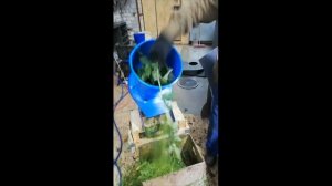 Измельчитель свежескошенной травы в действии аппаратом УР 2,2 кВт 1