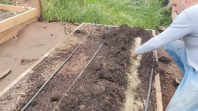 How To Plant Potatoes 4 Ways