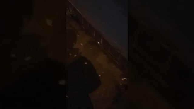 are you taking the piss ? ? смотреть онлайн