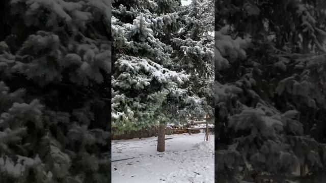 А Николаев живет и не падает духом!!! Так держать 👏!!!! смотреть онлайн
