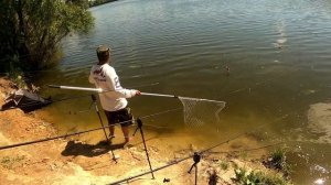 ТОЛСТОЛОБ В 9 КГ/Чудо снасть на Толстолоба./Ловля толстолоба в середине лета/Резинка на Толстолоба.