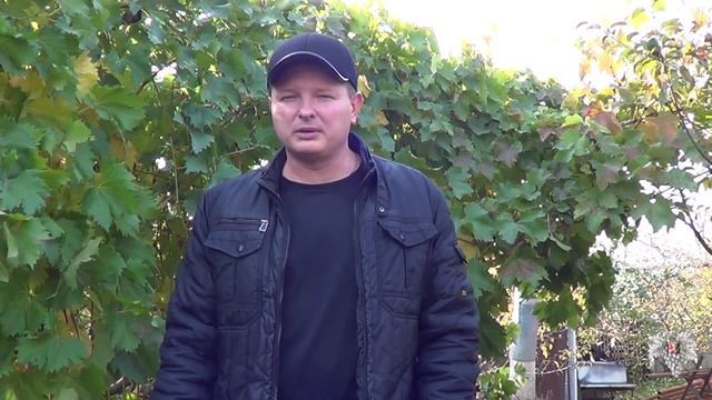 Сроки обрезки винограда. Влагозарядка виноградных кустов смотреть онлайн