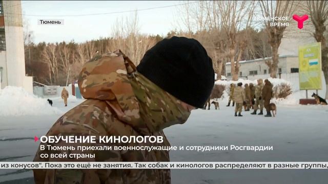 Обучение кинологов | Тюмень смотреть онлайн