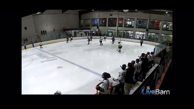 #88 White, Otto Gross, 1G 1A смотреть онлайн