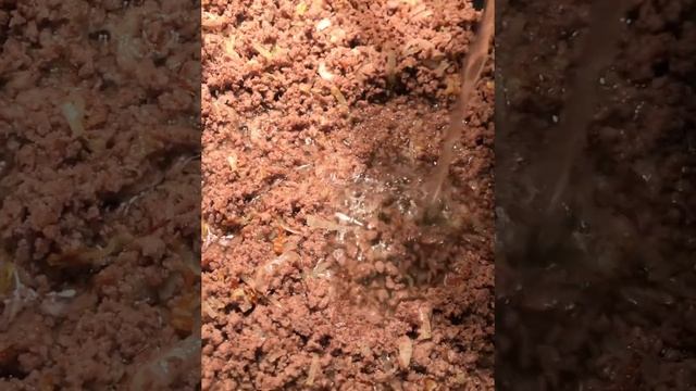 Блины с мясом смотреть онлайн