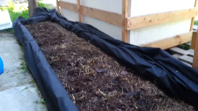 Дендробена в огороде смотреть онлайн