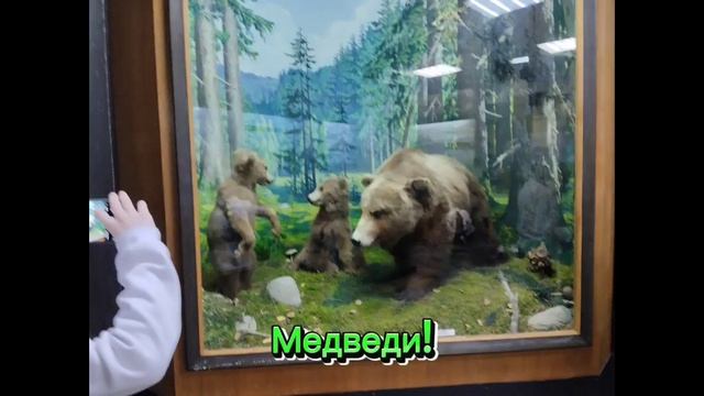 животные звуки и картинки (фото мои личные) смотреть онлайн