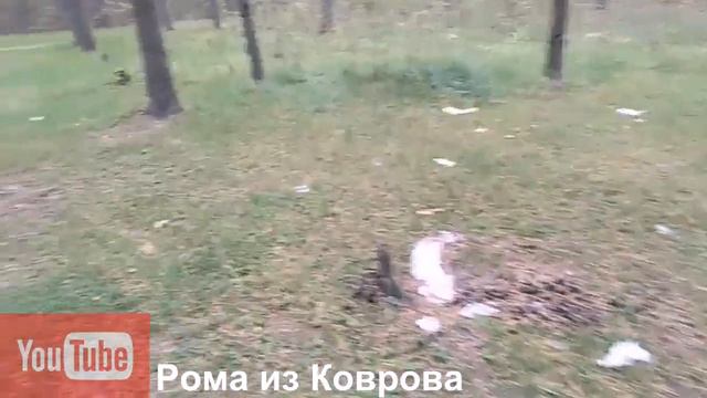 Ковров экологическое событие 28 09 2019 смотреть онлайн