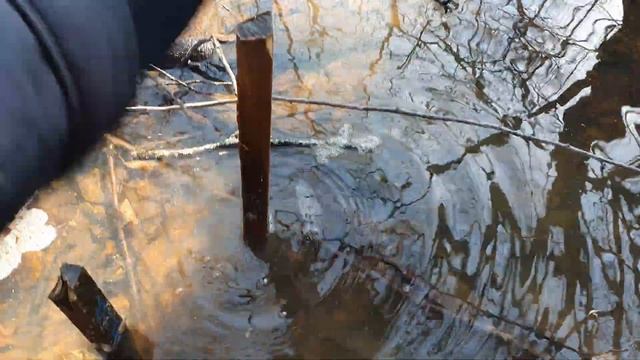 Длительный тест антисептика ХМ 11.1 год. смотреть онлайн