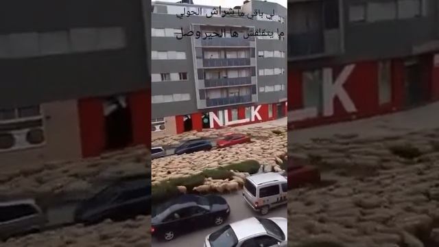 с праздником курбан байрам ❤️ смотреть онлайн