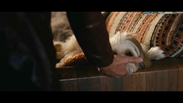 Семь психопатов смотреть онлайн