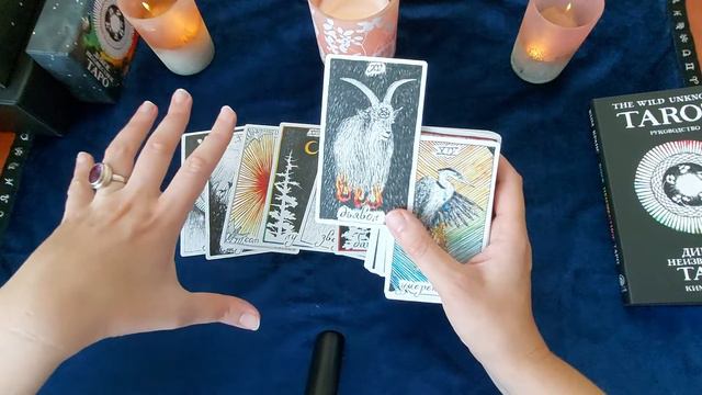 Распаковка новой колоды " Дикое неизвестное таро".❤🖤❤ смотреть онлайн