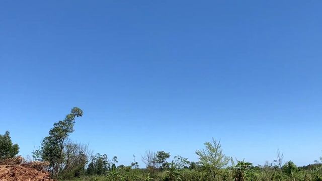 Строим дом в Парагвай и огород в #paraguay смотреть онлайн