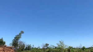 Строим дом в Парагвай и огород в #paraguay