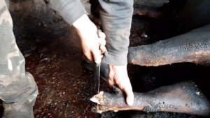 СВИНЫЕ НОЖКИ // КАК ПРАВИЛЬНО ОТРЕЗАТЬ НОГИ