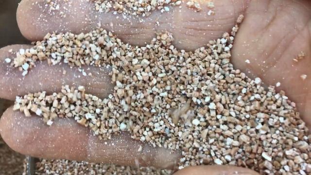 Что такое Красный Агровермикулит. #красный#агровермикулит#продажа#новосибирск#наташа#хорошунова# смотреть онлайн