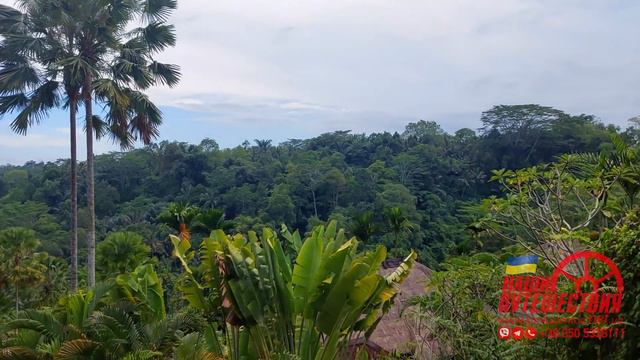 Бали. The Royal Pita Maha Ubud. Краткий обзор отеля. смотреть онлайн
