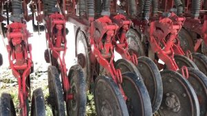 Посев кукурузы зерновой сеялкой сплошного сева