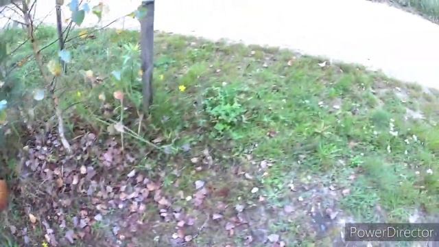 По дороге на дачу.Последние новости. Мусор с дачи вывозим по месту регистрации.Vlog.Брест смотреть онлайн