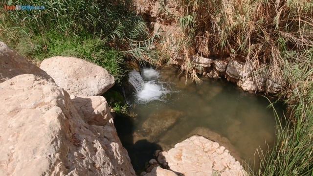 Ручей Нахаль Прат - Сладкая вода пустыни | 4K | נחל פרת смотреть онлайн