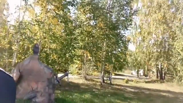 Участок в Лукоморье смотреть онлайн