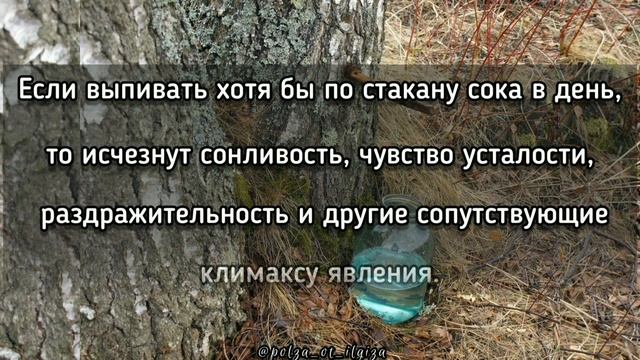 Грибные находки