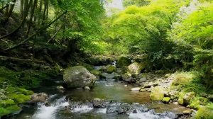 Музыка лечит сердце и сосуды  Успокаивающая музыка восстанавливает нервную систему, расслабляющая