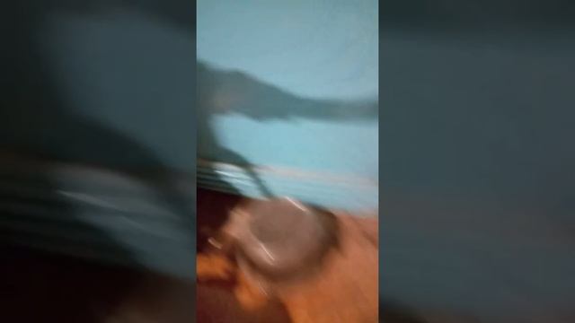 Ремонт водяного насоса, замена резиновой груши смотреть онлайн