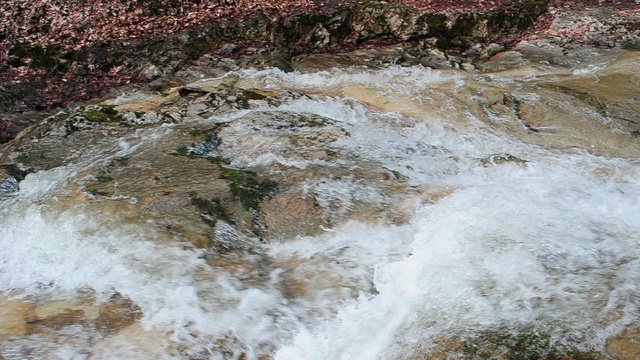 DSC_2523 смотреть онлайн