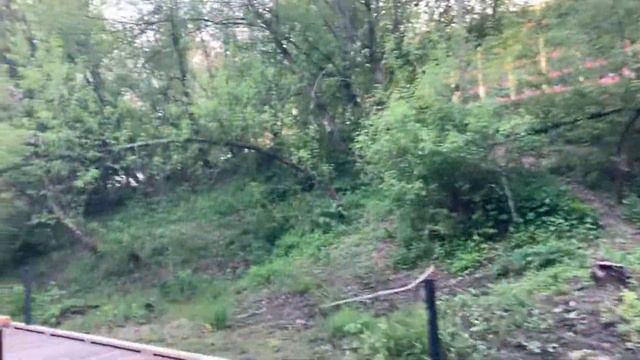 Парк Яуза (приток Яузы - Чермянка) Чтобы увидеть ошибку, нужно подняться на гору 🏔 ⛰ ☀️