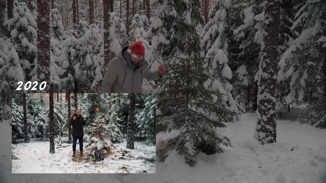 ОЧЕРЕДНЫЕ ПРИКЛЮЧЕНИЯ: наряжаем ЕЛКУ В ЛЕСУ! смотреть онлайн