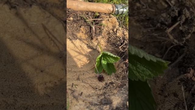 1 февраля 2024 г. смотреть онлайн