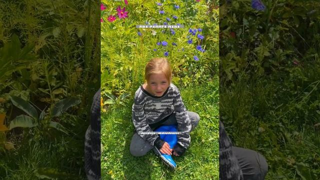 Дачные фразеологизмы смотреть онлайн