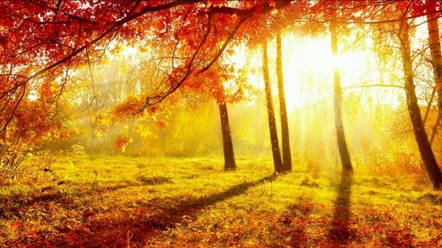 Слияние с Духом Вселенной. Медитация, которая уравновесит вибрации между Духом, Душой и Телом.