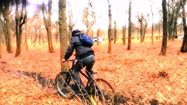 СКАЗОЧНЫЕ СНЫ