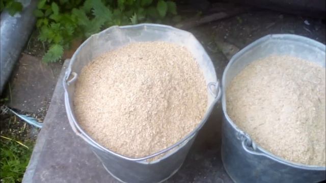 Кормление Герефордов в осенний период смотреть онлайн