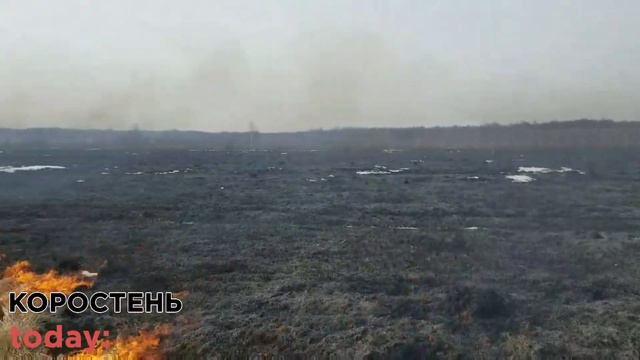 Неподалік Коростеня через загорання сухої трави ледь не згорів будинок, в якому живуть жінки та діт смотреть онлайн